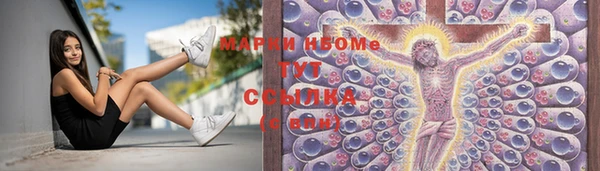 прущие грибы Ладушкин