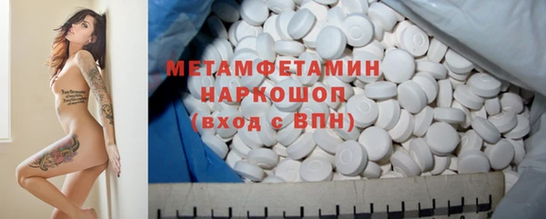 прущие грибы Ладушкин