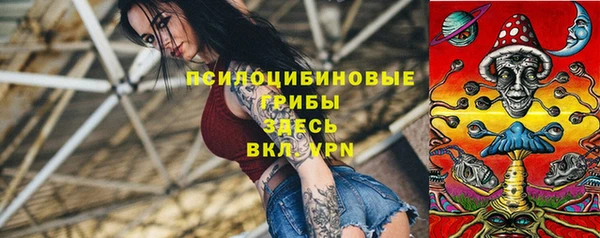хмурый Липки