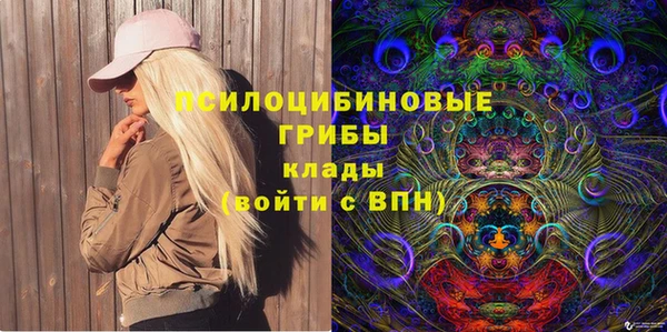 apvp Лагань