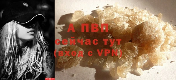 прущие грибы Ладушкин