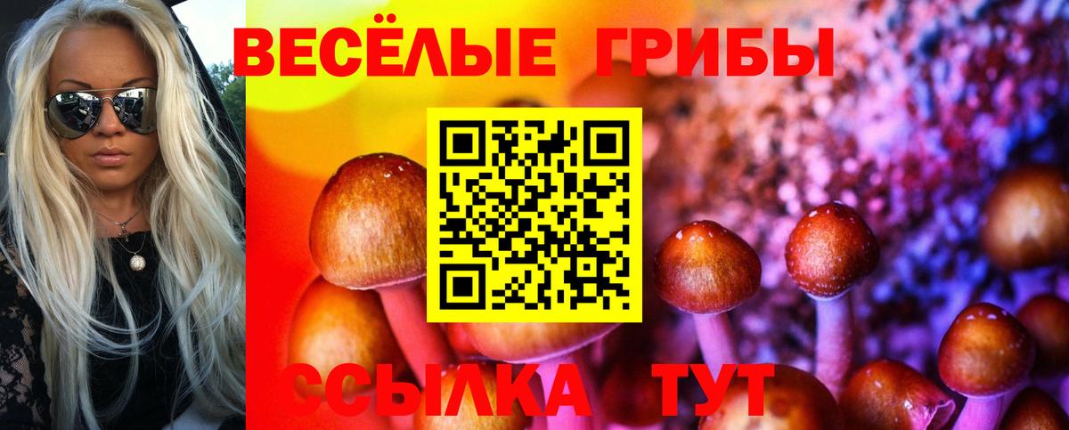 Галлюциногенные грибы MAGIC MUSHROOMS Медногорск